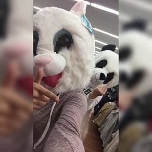 Meet your Posher, Alexus